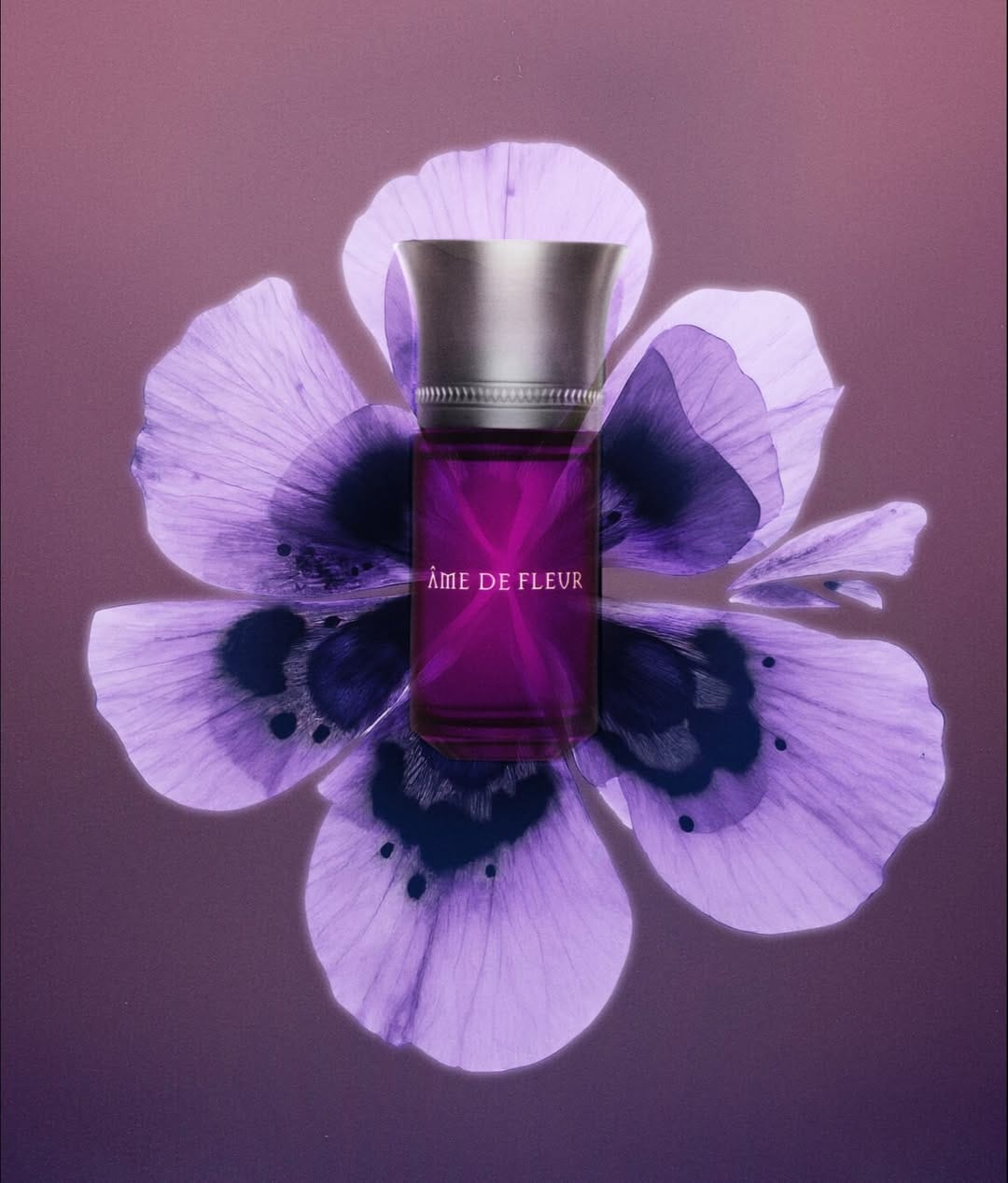 Les Liquides Imaginaires product photo: violet and gunmetal grey, glass, soft light